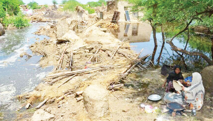 Devastating floods and insect invasions Devastating floods and insect invasions