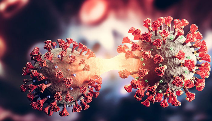 What is the new variant of Corona and how dangerous is it? 10 million people in China are expected to be affected by the sub-variant BF7, head of Infectious Diseases Dow Hospital
