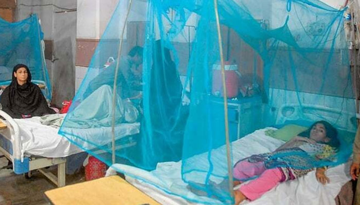 In Sindh, 1,000 people are suffering from malaria every day File photo