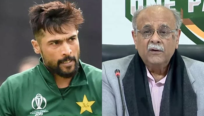 Najam Sethi (right), Muhammad Aamir (left) - Collage Photo: Social Media