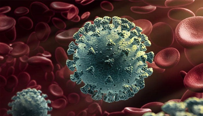 The first case of a new variant of the corona virus came to light File photo