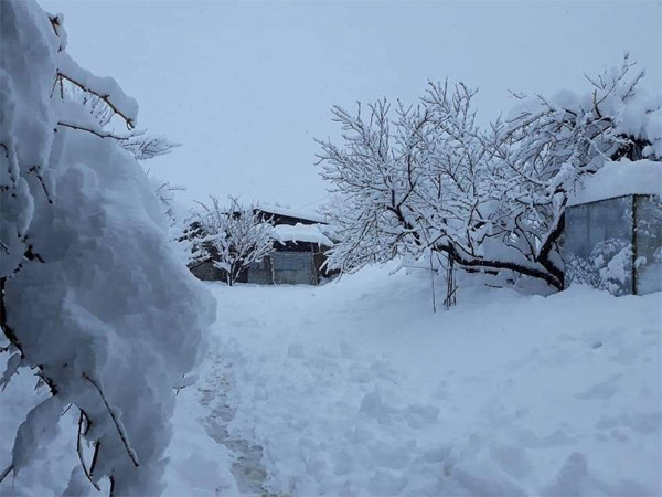 Cold weather after rain and snow in Quetta, minus 3 degree record in Ziarat