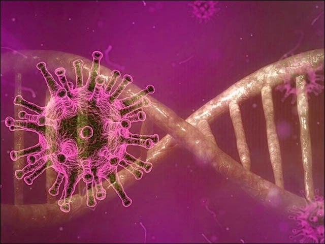 Confirmation of new variant of corona virus BF seven in Pakistan In Karachi, the BF7 variant of the Corona virus, which had previously appeared in China, has emerged. Photo: File