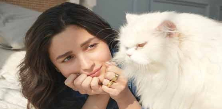 Beautiful pictures of actress Alia Bhatt with her cat