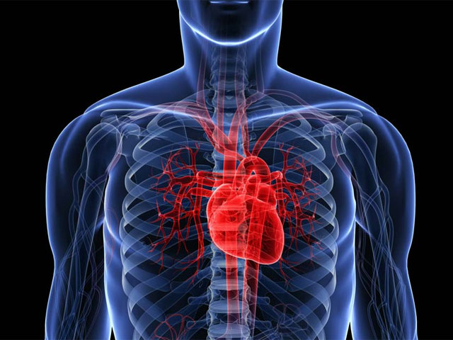 Gene discovered to shorten heart life by 10 years