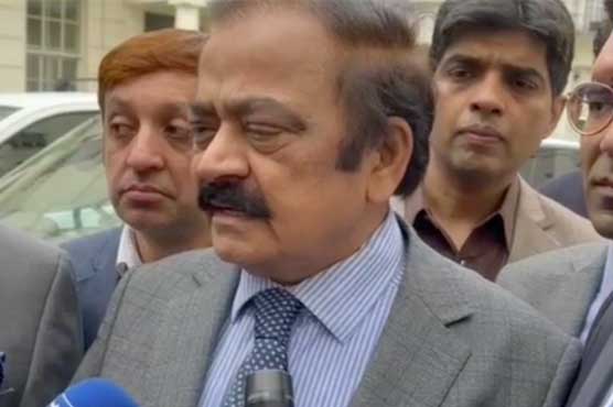 Imran Khan should have been arrested on May 25: Rana Sanaullah