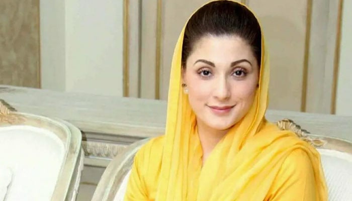 Maryam Nawaz will take Pakistan out of the vortex under the leadership of Nawaz Sharif