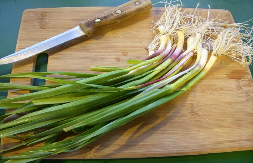 Some Surprising Benefits of Green Garlic