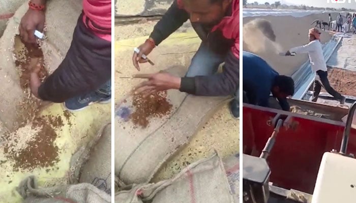 In India, people were given soil in wheat sacks Collage photo social media