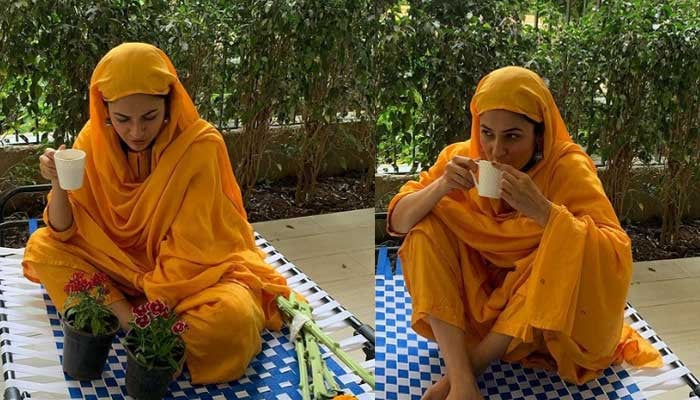 Photos of Shahnaz Gul drinking tea while sitting on the bed went viral