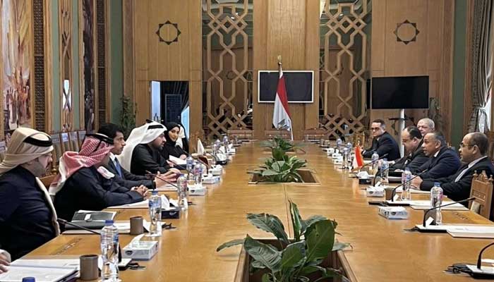 Important developments in Egypt-Qatar relations, first meeting of Joint Consultative Committee Cairo: Major developments in Egypt-Qatar relations, first meeting of Joint Consultative Committee
