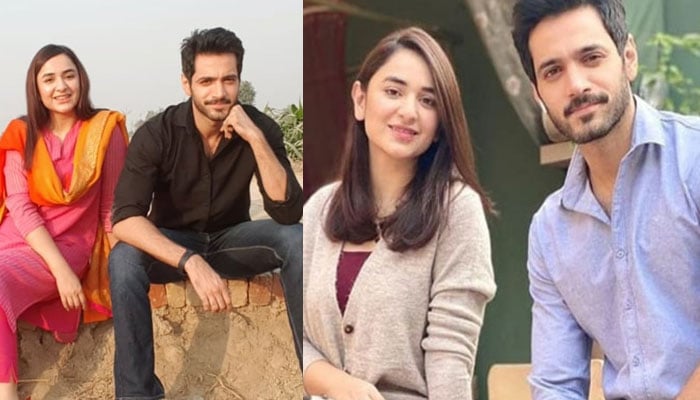 The drama Tere Bin, Yamuna Zaidi and Wahaj Ali's duo became famous in India The drama Tere Bin, Yamuna Zaidi and Wahaj Ali's duo became famous in India