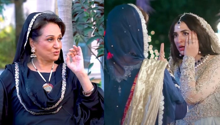 What did Bushra Ansari say about slapping Yemeni Zaidi in the drama 'Tere Bin'?