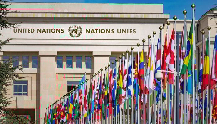 United Nations appeal for one billion dollars aid for Turkey File photo