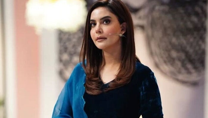 Nida Yasir raised the slogan of 'back hit' against the trollers File photo
