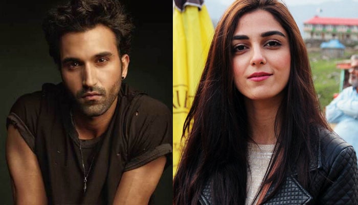 Indian actors also turned out to be fans of Maya Ali