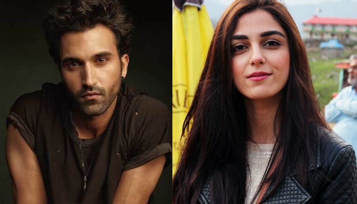 Indian actors also turned out to be fans of Maya Ali File photo