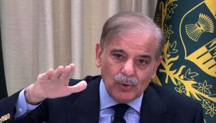 Youth are being given loans for business, Prime Minister Youth are being given loans for business, Prime Minister
