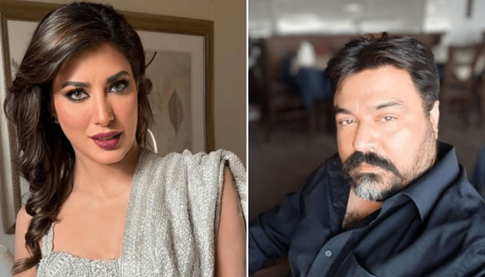 FIA has not yet removed content from social media, lawyer Mehwish Hayat File photo