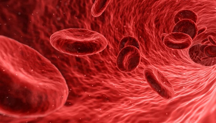 Do you know which foods clean your blood? File photo