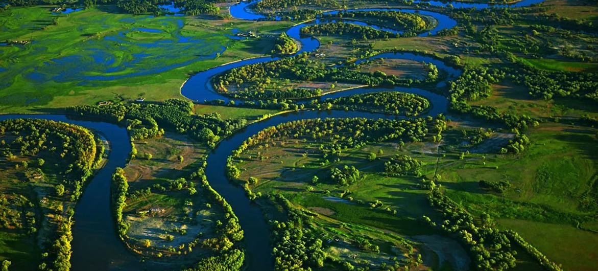 An aerial view of wetlands in China. An aerial view of wetlands in China.