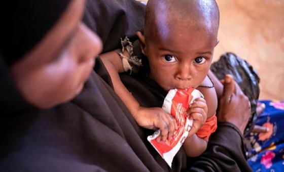 Somalia: .6 billion appeal to support millions amid historic drought and famine fears