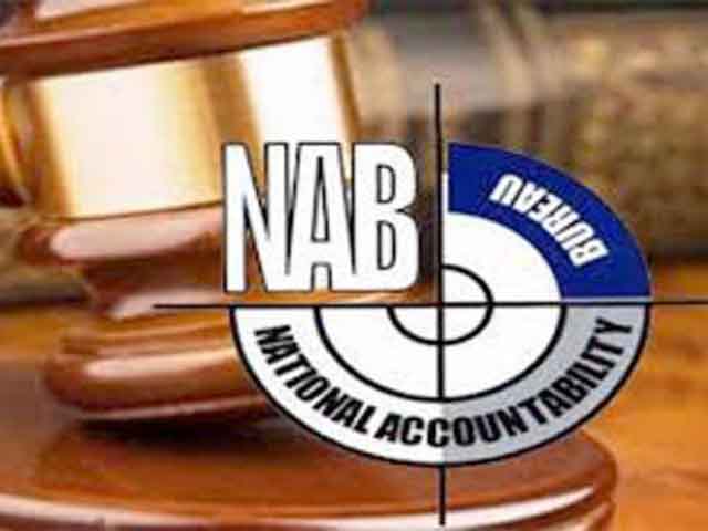 Accountability Court;  Extension of interim bail of Prime Minister's son-in-law