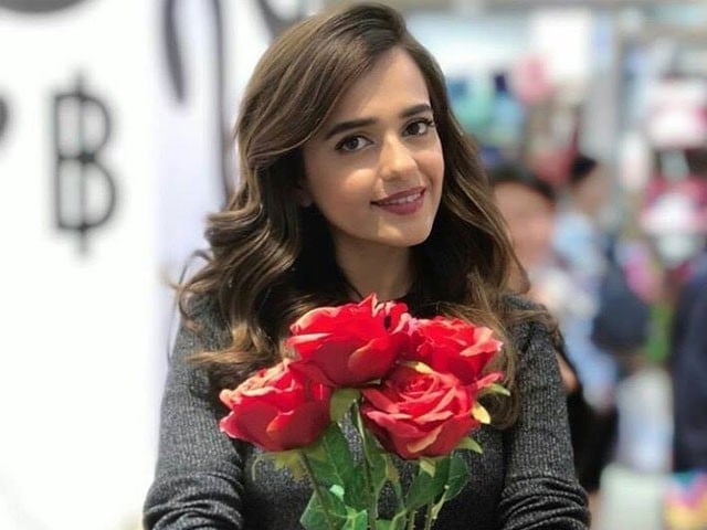 The actress had alleged that Nadeem Kayani and others had launched a campaign against her on social media