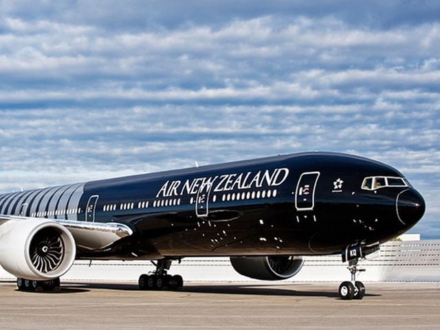 The flight reached the United States after covering a distance of 16 hours, Photo: File 