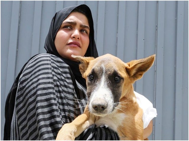 Traveling with pets; Saudi Arabia has issued new instructions Mandatory registration of animals has been established (Photo: File)