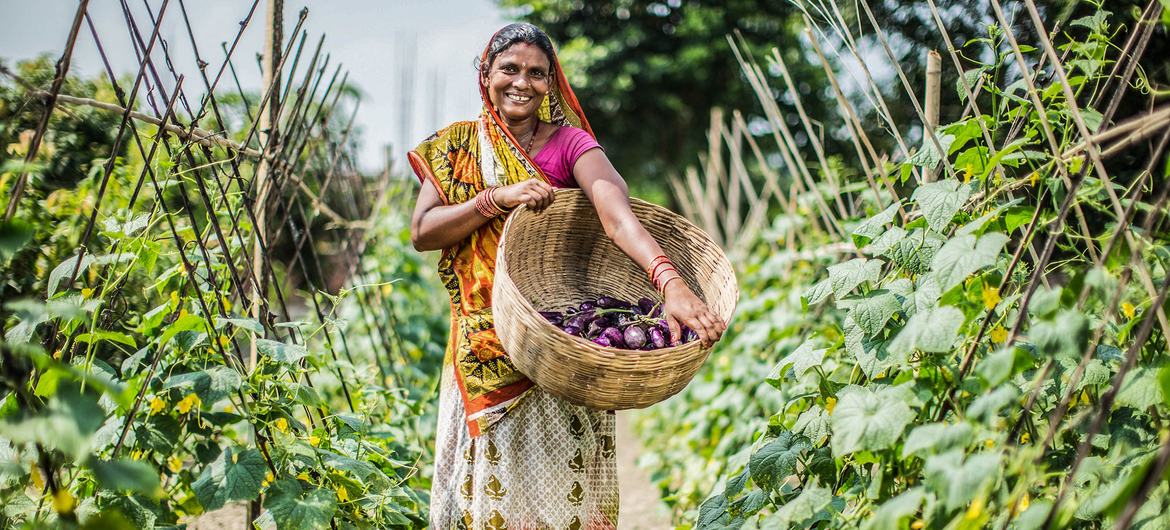 Agricultural development projects are helping to reduce poverty in rural communities in Nepal. Agricultural development projects are helping to reduce poverty in rural communities in Nepal.