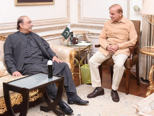 Asif Zardari's meeting with Shahbaz Sharif