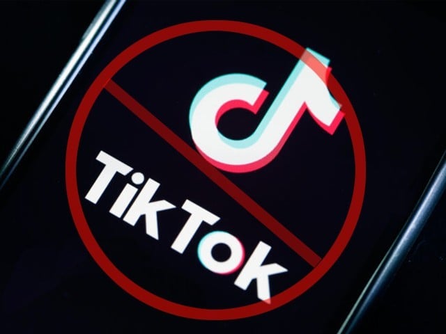 British experts also demanded to limit the TikTok app