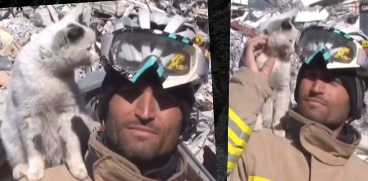 How did the cat thank you for saving his life? The video went viral Cat