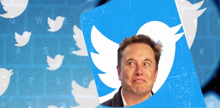 Can you earn money from Twitter?  Elon Musk said