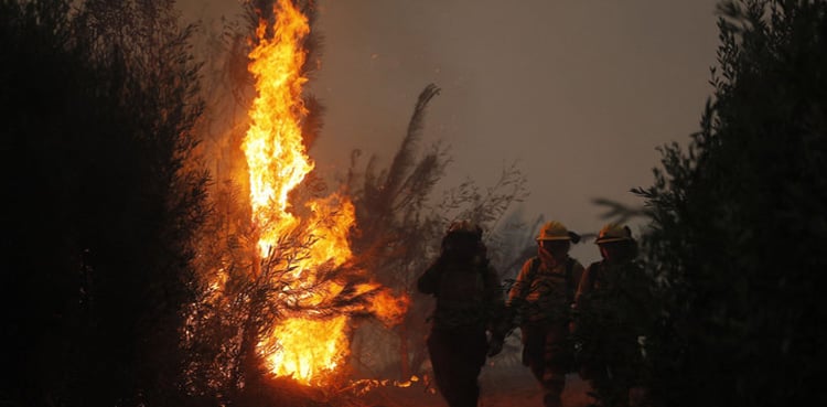 Forest fire uncontrollable, dozens of people killed Chili