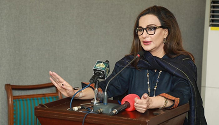 More than 24 crore trees will be planted across the country, Sherry Rehman