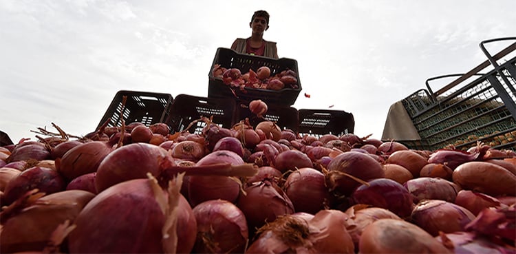 Onion 3500 rupees, 6 kg chicken for 1 kg