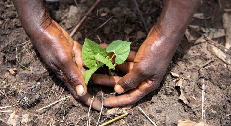 Pope Francis in DR Congo: WFP highlights Africa’s biggest hunger crisis