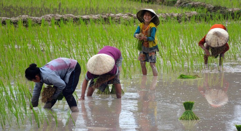 Revive and restore wetlands, home to 40 per cent of all biodiversity