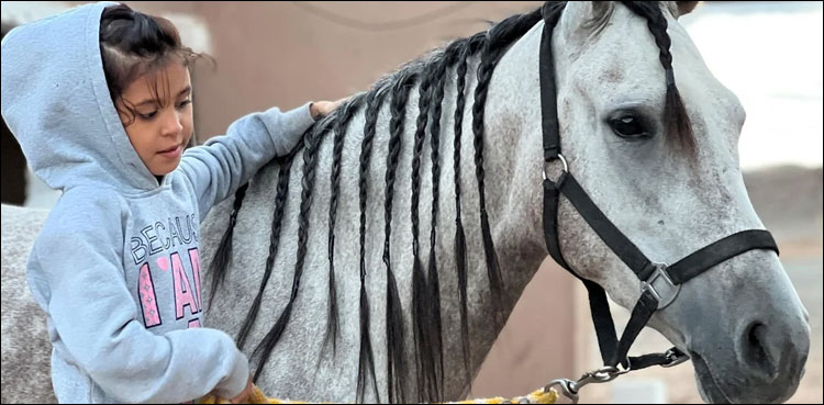 9-year-old child who has become an expert horse rider - 9-year-old child who has become an expert horse rider -