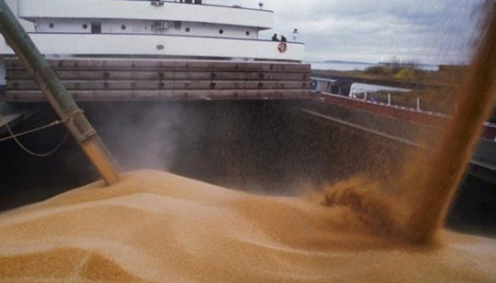 Sindh will start procurement of wheat from March 1, Chief Secretary Sohail Rajput