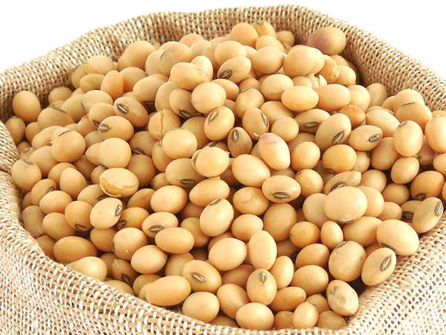 Soybeans can lower cholesterol by 70 percent, research shows