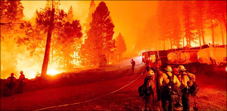 Terrible fire in the forests of Chile, 13 dead, heartbreaking videos wildfires in Chile