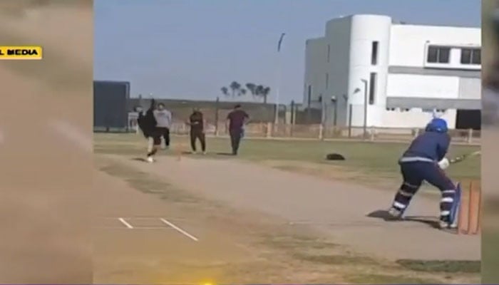 The father-in-law hit the son-in-law for a six on the cricket field