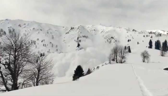 Two foreign tourists were killed in an avalanche