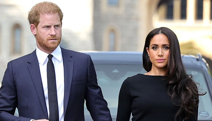 Why didn't Prince Harry support Meghan Markle against the media?