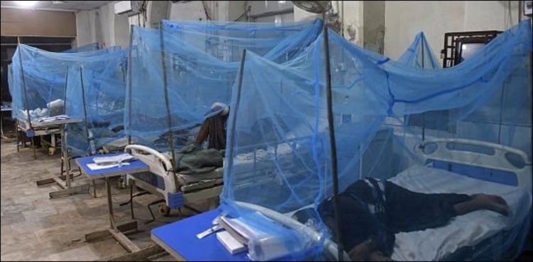 Unknown disease kills in Equatorial Guinea, people fear Unknown disease kills in Equatorial Guinea, people fear