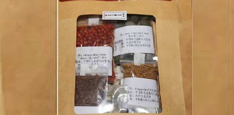 History, experiments in space on Pakistani herbal seeds, return to Earth after many months History, experiments in space on Pakistani herbal seeds, return to Earth after many months