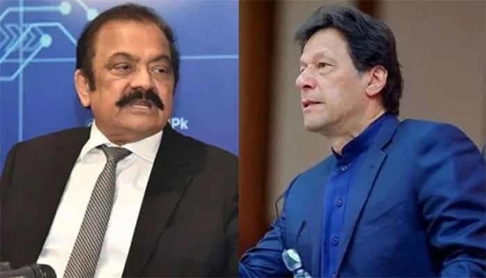 If Imran Khan is arrested, you will hear his screams in the first night itself, Rana Sanaullah Photo file